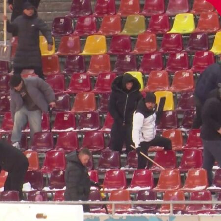 Suporterii FCSB au răspuns apelului lui Mihai Stoica » Imagini de pe Arena Națională: câți s-au alăturat acțiunii de deszăpezire