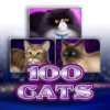 100 Cats