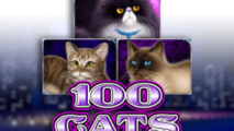 100 Cats