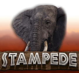 Stampede
