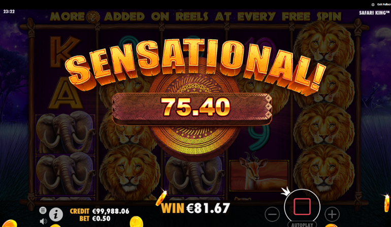 Safari King single spin big win