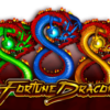 Fortune Dragon