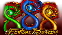 Fortune Dragon