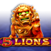 5 Lions