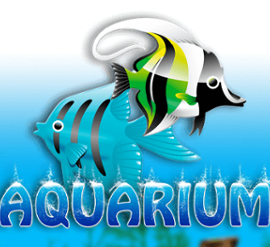 Aquarium