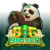 Big Bamboo