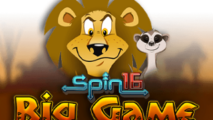 Big Game Spin 16
