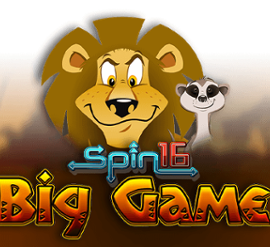 Big Game Spin 16