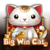Big Win Cat