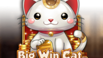 Big Win Cat