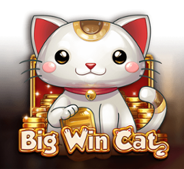 Big Win Cat