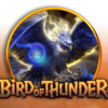 Bird of Thunder