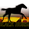 Black Horse