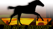 Black Horse