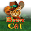 Brave Cat