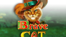 Brave Cat