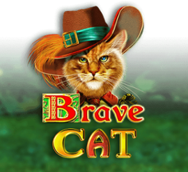 Brave Cat