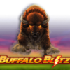 Buffalo Blitz