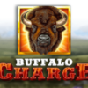 Buffalo Charge