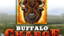 Buffalo Charge