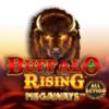 Buffalo Rising Megaways All Action