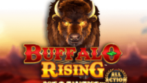 Buffalo Rising Megaways All Action