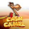Cash Camel