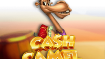 Cash Camel