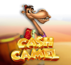 Cash Camel