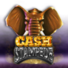 Cash Stampede