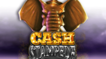 Cash Stampede