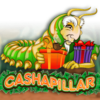 Cashapillar