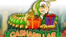 Cashapillar