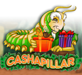 Cashapillar
