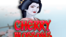 Cherry Blossom