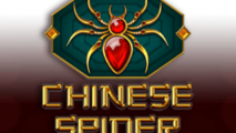 Chinese Spider