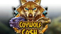 Coywolf Cash