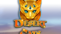 Desert Cats