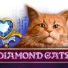 Diamond Cats