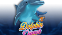 Dolphin Quest