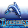 Dolphins