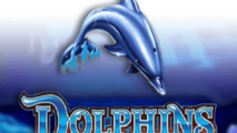 Dolphins