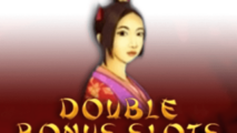 Double Bonus Slots
