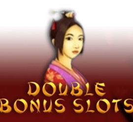 Double Bonus Slots