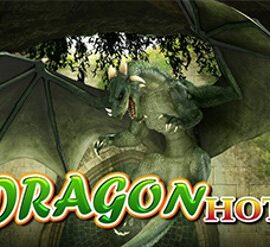 Dragon Hot