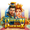 Dragon & Phoenix