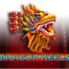 Dragon Reels