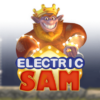 Electric Sam