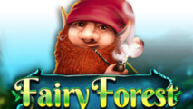 Fairy Forest