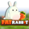 Fat Rabbit